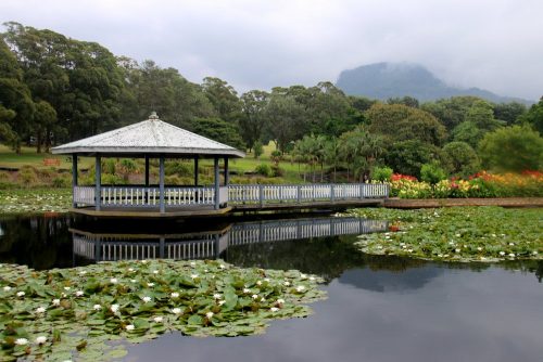 Wollongong Botanic Gardens